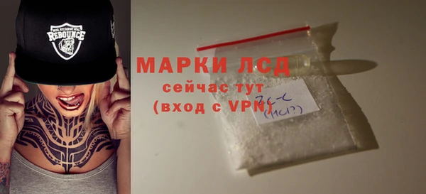 ГАЛЛЮЦИНОГЕННЫЕ ГРИБЫ Горно-Алтайск