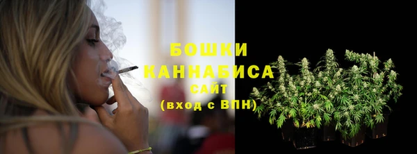 ГАЛЛЮЦИНОГЕННЫЕ ГРИБЫ Горно-Алтайск