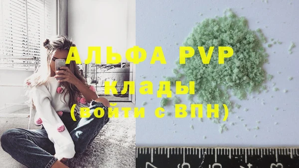 ГАЛЛЮЦИНОГЕННЫЕ ГРИБЫ Горно-Алтайск