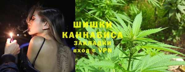 ГАЛЛЮЦИНОГЕННЫЕ ГРИБЫ Горно-Алтайск