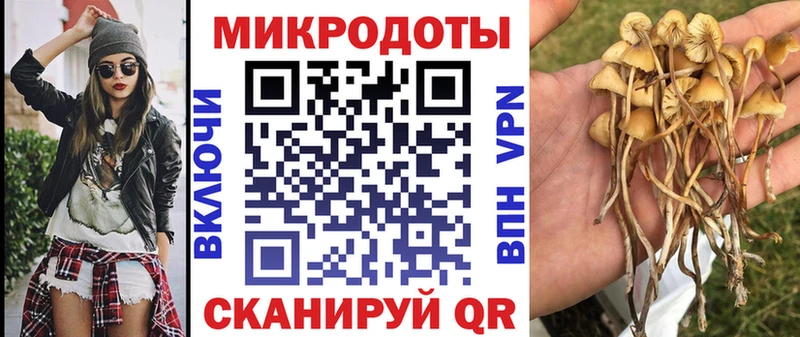 Галлюциногенные грибы Magic Shrooms  Москва 