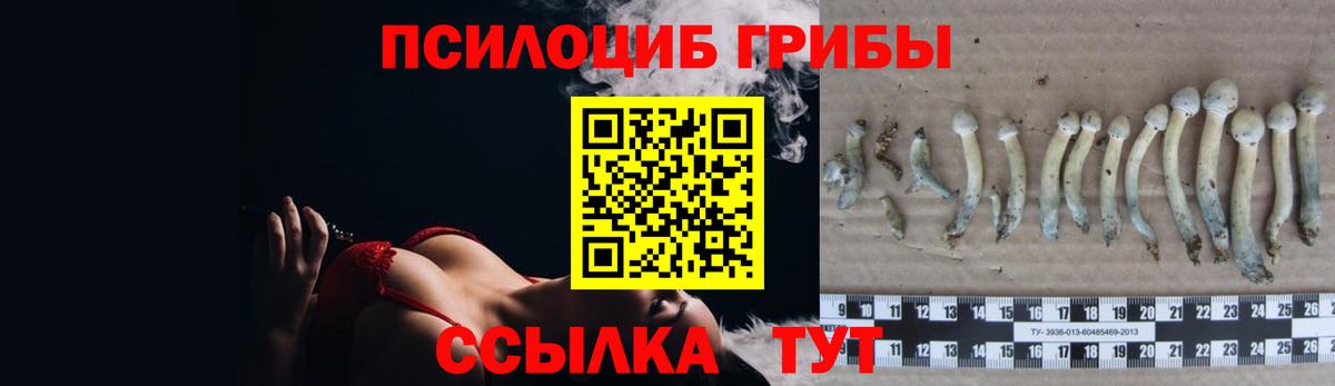 Москва  Псилоцибиновые грибы MAGIC MUSHROOMS  Галлюциногенные грибы MAGIC MUSHROOMS  Вход с VPN 